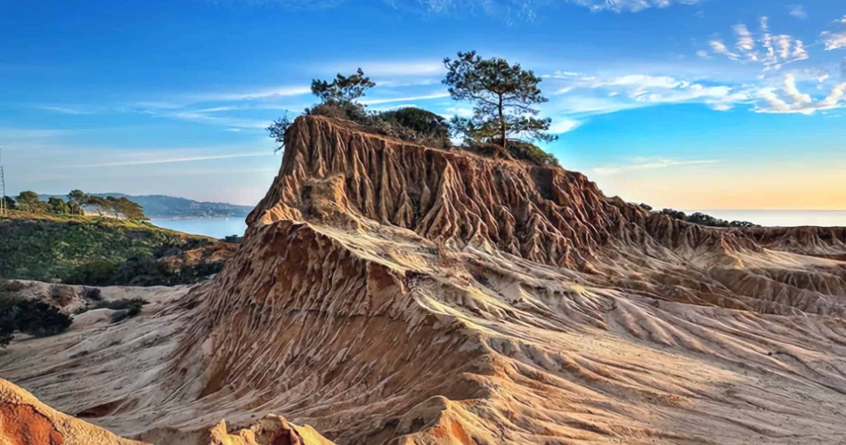 10 Best Things to Do in Downtown San Diego