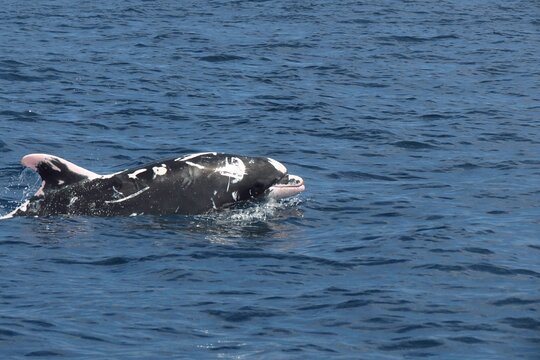 Tour image 11
