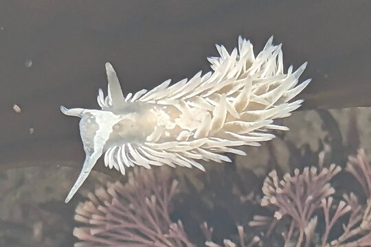 Tour image 4