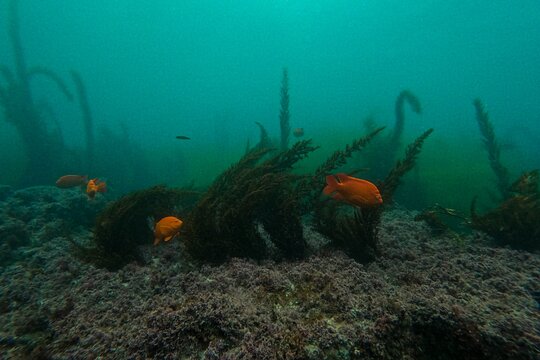 Tour image 9
